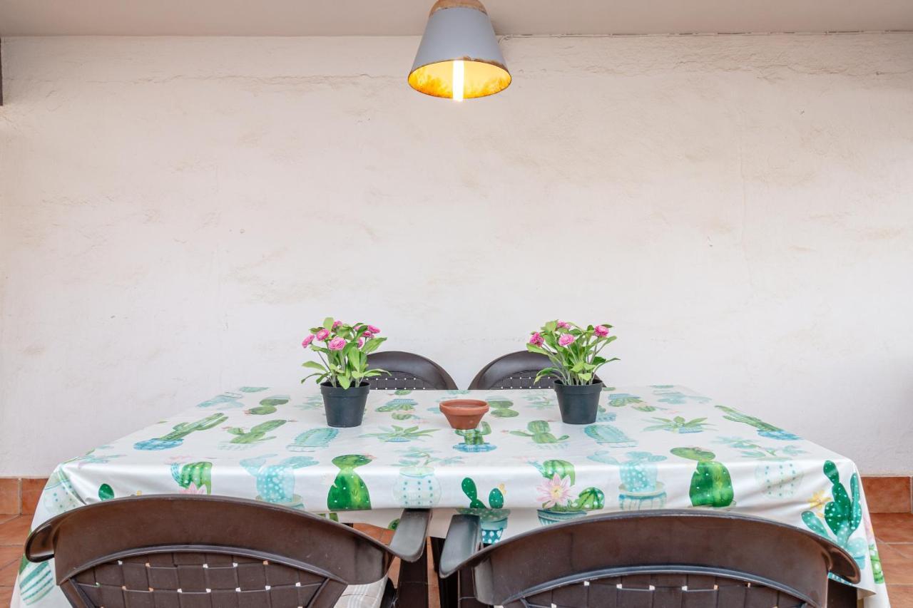 Super Apartamento A Un Paso Del Mar Oliva Exteriör bild